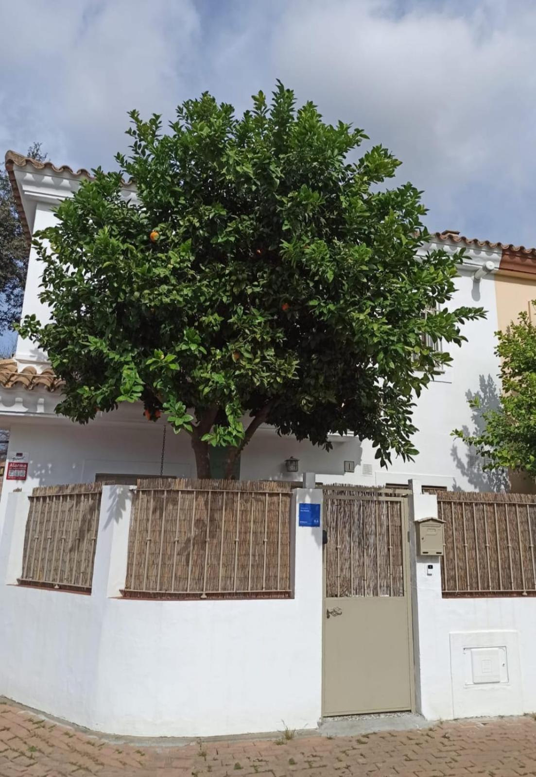 Nao Victoria Apartment Gelves